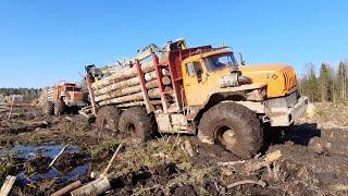 Водитель лесовоза 80 Уровень монстры по бездорожью уникальная подборка