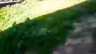 Покатушки по ферме, чуть не поймал охранник
