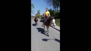 Катання на коні з дитиною