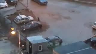 Уфа: собаки нападают
