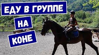 Еду в группе на Коне, Конный спорт, Групповая тренировка на лошадях, Смайли, Smile, 717