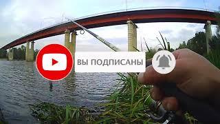 рыбалка на спиннинг с берега октябрь 2020 охота за щукой продолжается