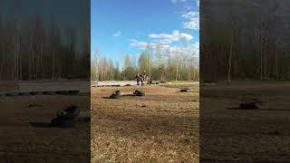 Я катаюсь на лошади. #Лошади