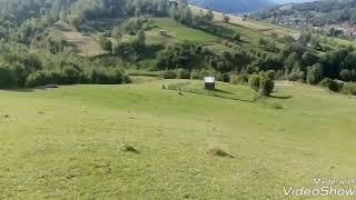 Покатушки на скутерах