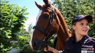 «Специальный репортаж. Конная полиция Тольятти» 13.07.2020