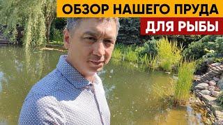 Обзор нашего пруда для рыбы | Пруд с рыбой через 7 лет