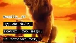 Лучшая подборка цитат крутые смешные грустные цитаты -#19