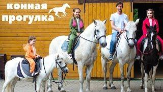 Конная Прогулка. Катание на Лошадях с Детьми