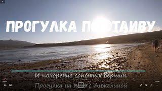 Гуляем по отливу и забираемся на сопки. Бухта Гертнера летним вечером 2020. Прогулки с Анжелиной