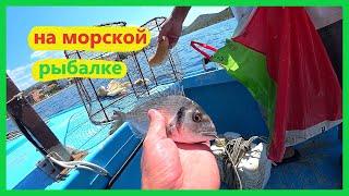 Влог, рыбалка на море, отпуск в Хорватии, в Хорватию своим ходом, 30.06-01.07.2020