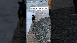 Смешно упал