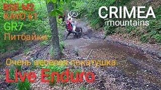 #LiveEnduro Веселые покатушки! BSE, GR, KAYO и питбайки.