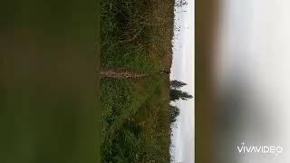 Первые покатушки на велосипеде