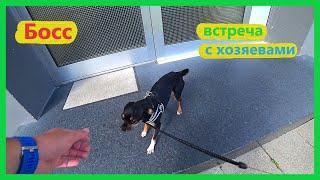 Влог, первый день после отпуска, холодно кошмар, подарок для Босса