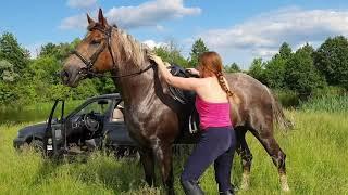 Приучаю