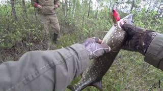 щука на спиннинг  снова карьеры синявино