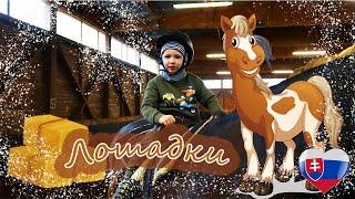 МАРЕК УЧИТЬСЯ КАТАНИЮ НА ЛОШАДКЕ/ MAREK LEARN HORSE RIDING