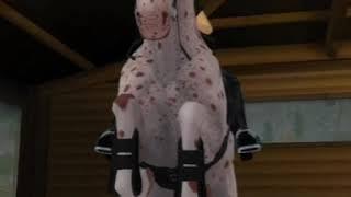 Star Stable Online клип "Легенды Конного Спорта"