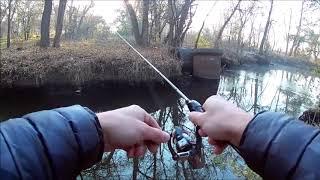 Рыбалка в центре Запорожья на мормышинг! Практика в болоте