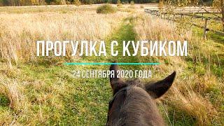 Прогулка с Кубиком 24 сентября 2020 года