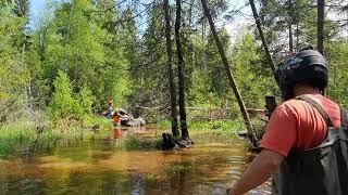 Стелс леопард в воде