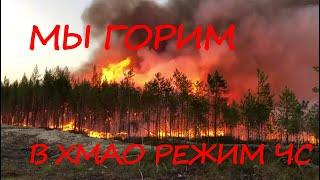 ВМЕСТЕ МЫ СИЛА! Как добровольцы помогали спасателям бороться с пожарами в ХМАО-Югре.