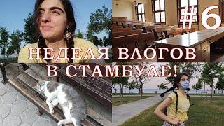 УНИВЕРСИТЕТ, БЕРЕГ МОРЯ, ЖИЗНЬ В СТАМБУЛЕ! Неделя Влогов #6