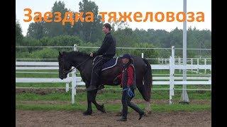 В первый раз сели на тяжеловоза верхом. Шайрик.