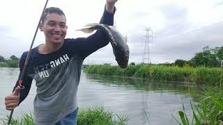 baru kali ini mancing tanpa umpan!!!dapatnya gede gede banget!!!