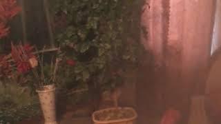 Денис Воробьев.