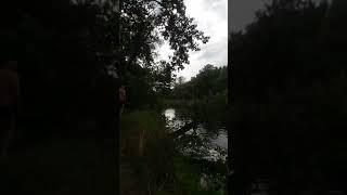 Прыжок в воду с дерева))