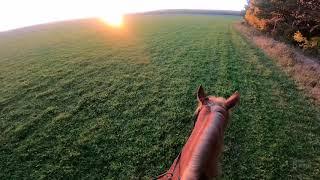 GoPro Hero 9 Black - прогулка на лошади.