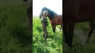Верхом на лошади(2)