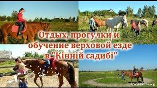 Отдых, прогулки на лошадях и обучение верховой езде: о нашей поездке в "Кінну садибу"