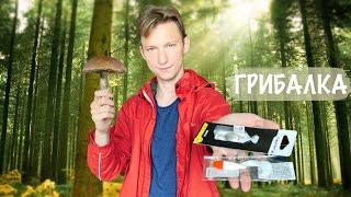ГРИБАЛКА, закупился снастями для рыбалки