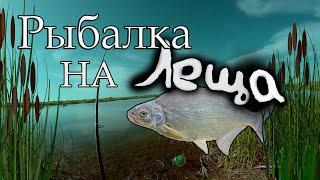 РЫБАЛКА НА ЛЕЩА !!!КАПЧАГАЙ!!!ЗАЛИВЫ 2020г