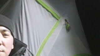 Онлайн Рыбалка На Налима