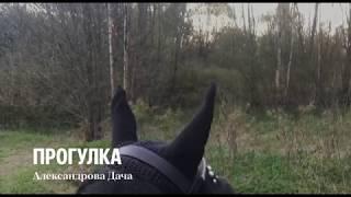 Верховые прогулки, обучение верховой езде.