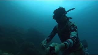Freediving Bukan Hanya Soal Menyelam, tapi Ada Pelajaran Hidup di Dalamnya