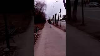 Покатушки на моноколесе Inmotion V8