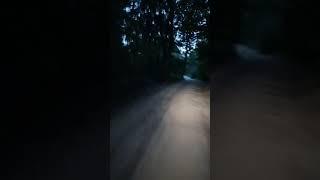 Покатушки на скутере(1)