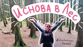 Ирландия и красивые места для туристов. И снова в Лес ! Гуляем по эко тропе Glenbarrow.