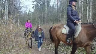 Верхом на лошадях по Шуваловскому парку