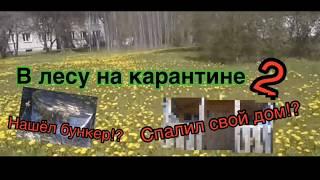 В лесу на карантине 2!