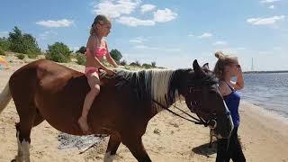 ПЛАВАЮ ВЕРХОМ НА ЛОШАДИ ПО Волге!!