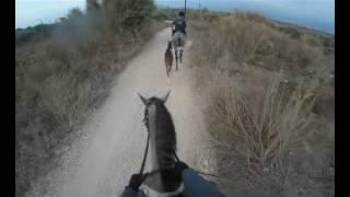 GoPro ride: альВард прогулка верхом второй раз 11 8 16