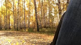 Есть такой эффект, который очень любят моноколёсники