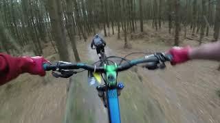 Mountain Bike  покатушки в лесу