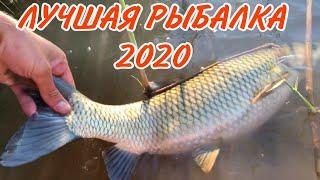 КЛЮЁТ АМУР на ПЕНОПЛАСТ | РЫБАЛКА В АВГУСТЕ 2020 ПОПАЛ на КЛЕВ