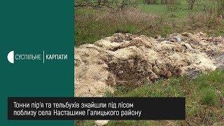Пір’я та тельбухи: на Прикарпатті в урочищі викинули відходи птаховиробництва